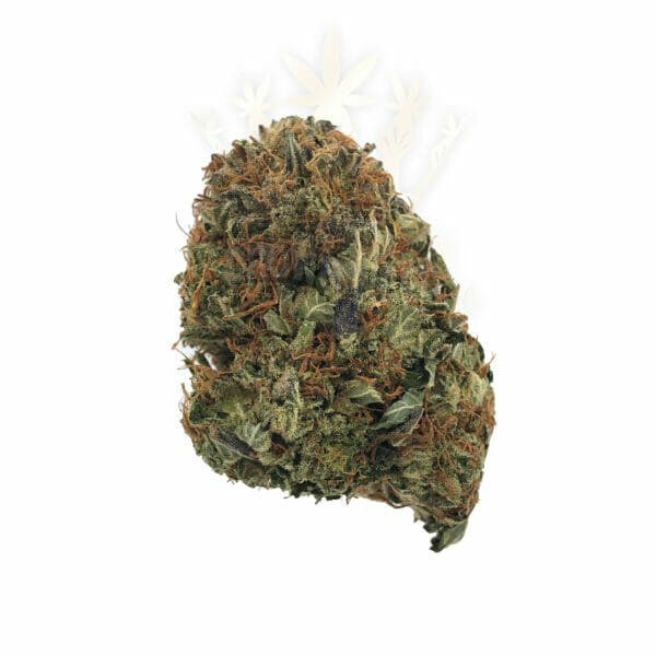 Find weed delivery service in toronto - Bubba OG