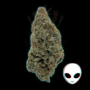 Buy Miracle Alien Cookies toronto