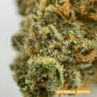 super nuken strain info