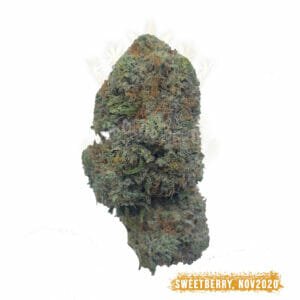 weed delivery sweet berry strain