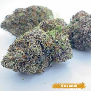 toronto cannabis delivery black widow - crown weed