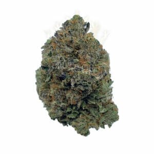 buy cheap weed in toronto - purple kush strain