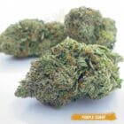 Buy Purple Candy Weed in Toronto