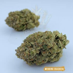 Wedding crashers strain in toronto for same day delivery