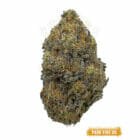 find weed in toronto delivery - Park Fire OG Crown Weed