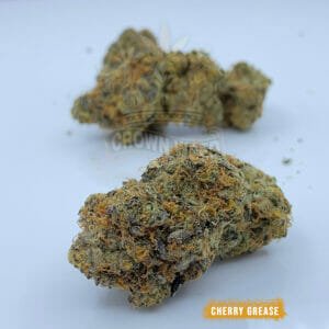 buy weed in toronto cherry grease strain