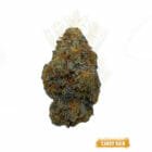 Buy Candy Rain weed strain in toronto for delivery