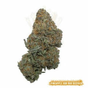 buy weed in toronto - pineapple godbud