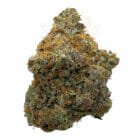 Buy comatose weed for delivery in toronto