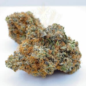 Buy comatose strain for delivery in toronto