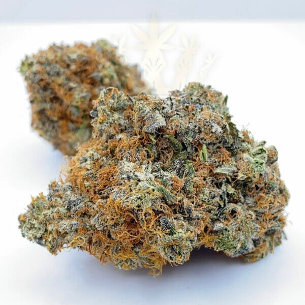 Buy comatose strain for delivery in toronto