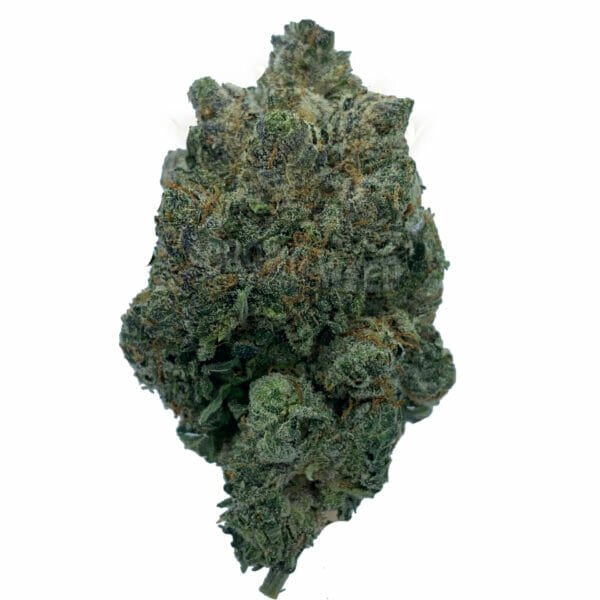 Find Gelato weed in toronto for delivery