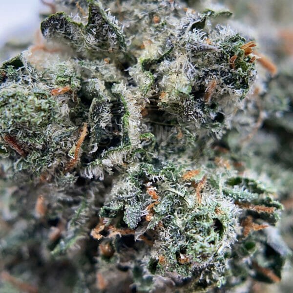Gelato weed strain available in Toronto