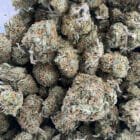 Northern lights cannabis strain in toronto weed delivery