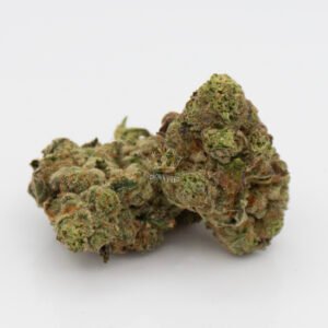 same day weed delivery in toronto blueberry diesel strain