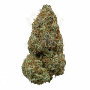 Best Sativa Strains to buy in toronto