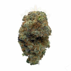 Blackberry Platinum weed strain in Markham Richmond Hill