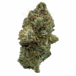 Find Lindsay OG Strain for Delivery