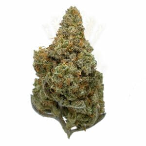 Citrus Sap Sativa Weed