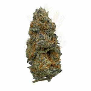 Buy Weed Toronto - Purple Dank Breath