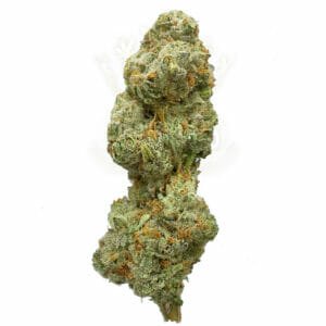 buy sweet cheese weed in toronto