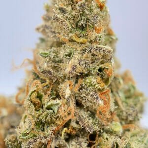 Citrus Sap Sativa Strain