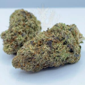 Find Cannabis Delivery in Toronto Jet Fuel x Dosidos Strain