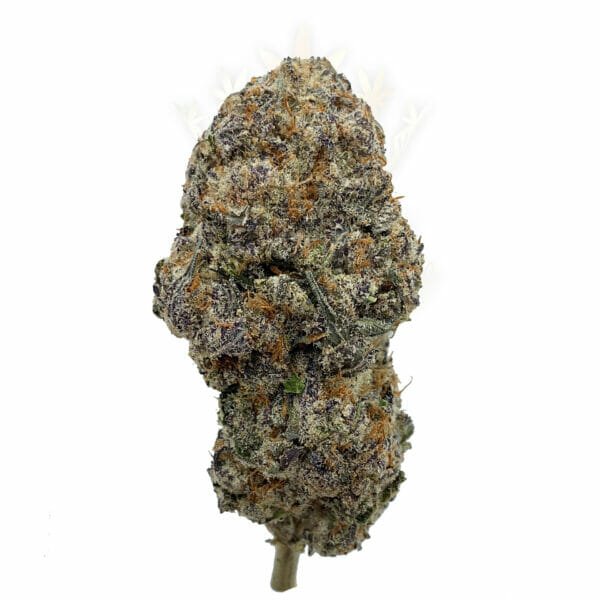 weed toronto polaris cannabis strain delivery
