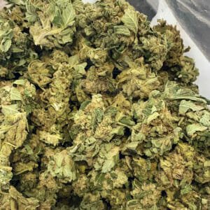 buy cheap outdoor weed