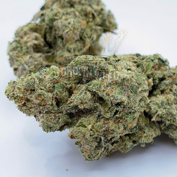 Find Runtz Weed Strain for Same Day Delivery