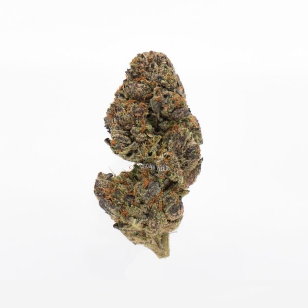 mk ultra weed strain for delivery in toronto