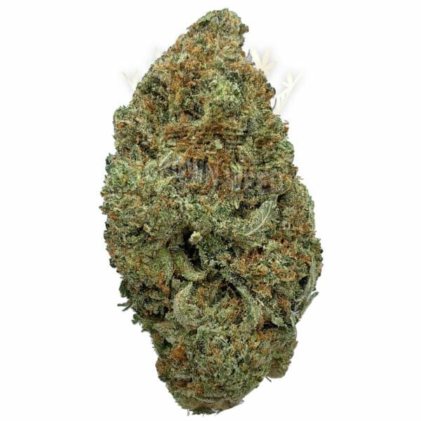 Toronto Same Day Weed Delivery - Sour Kush Strain