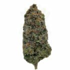 Find Alien OG cannabis strain in Scarborough