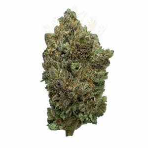 Scarborough cannabis delivery space - Purple Haze Strain