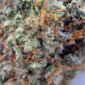 North York Same Day Weed Delivery - Sour Kush Strain