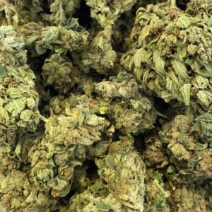 buy cheap outdoor weed online