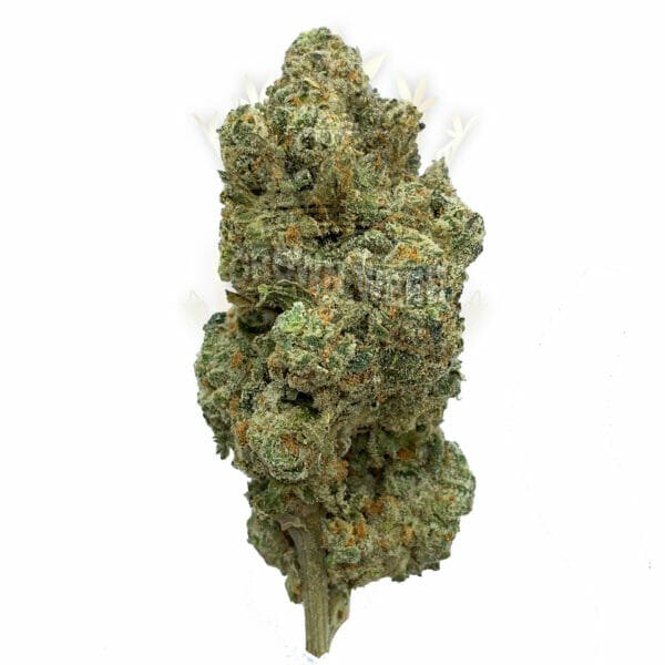 Find Runtz Weed Strain for Same Day Delivery