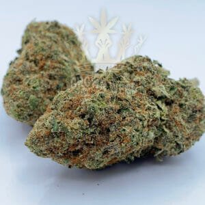 Same Day Weed Delivery in Etobicoke - Triangle Mintz Strain