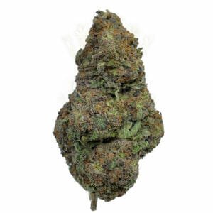 Rare Apple Gelato strain in Toronto Canada