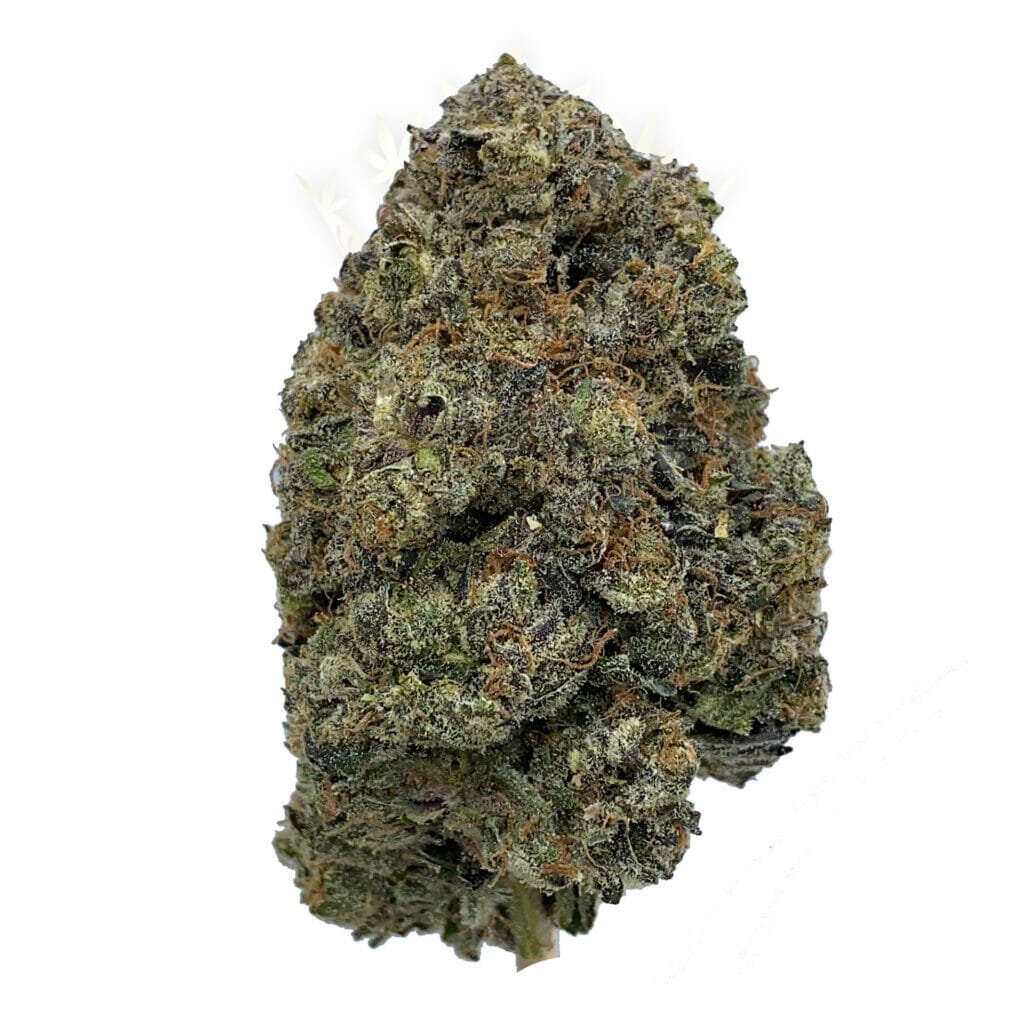 Sunburn - Weed Delivery Toronto North York - Crown Weed | Buy Weed ...