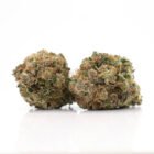 toronto free weed delivery - white fire go strain