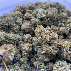 Affordable weed weed - MK ultra