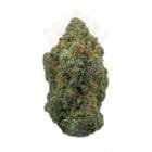 same day weed delivery north york sky cake strain