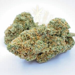 Find weed delivery same day near Etobicoke - Lemon Haze Weed Strain