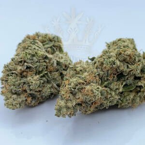 Find rockstar gas weed strain in etobicoke