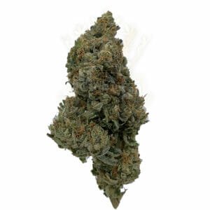 Find rockstar gas weed strain in toronto