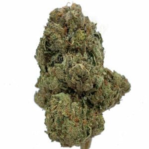 Find weed delivery in north york