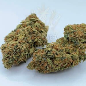 find weed delivery in toronto