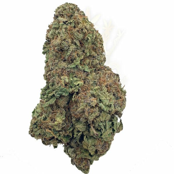 find weed delivery in etobicoke