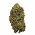 Find King Kush weed delivery in north york near me
